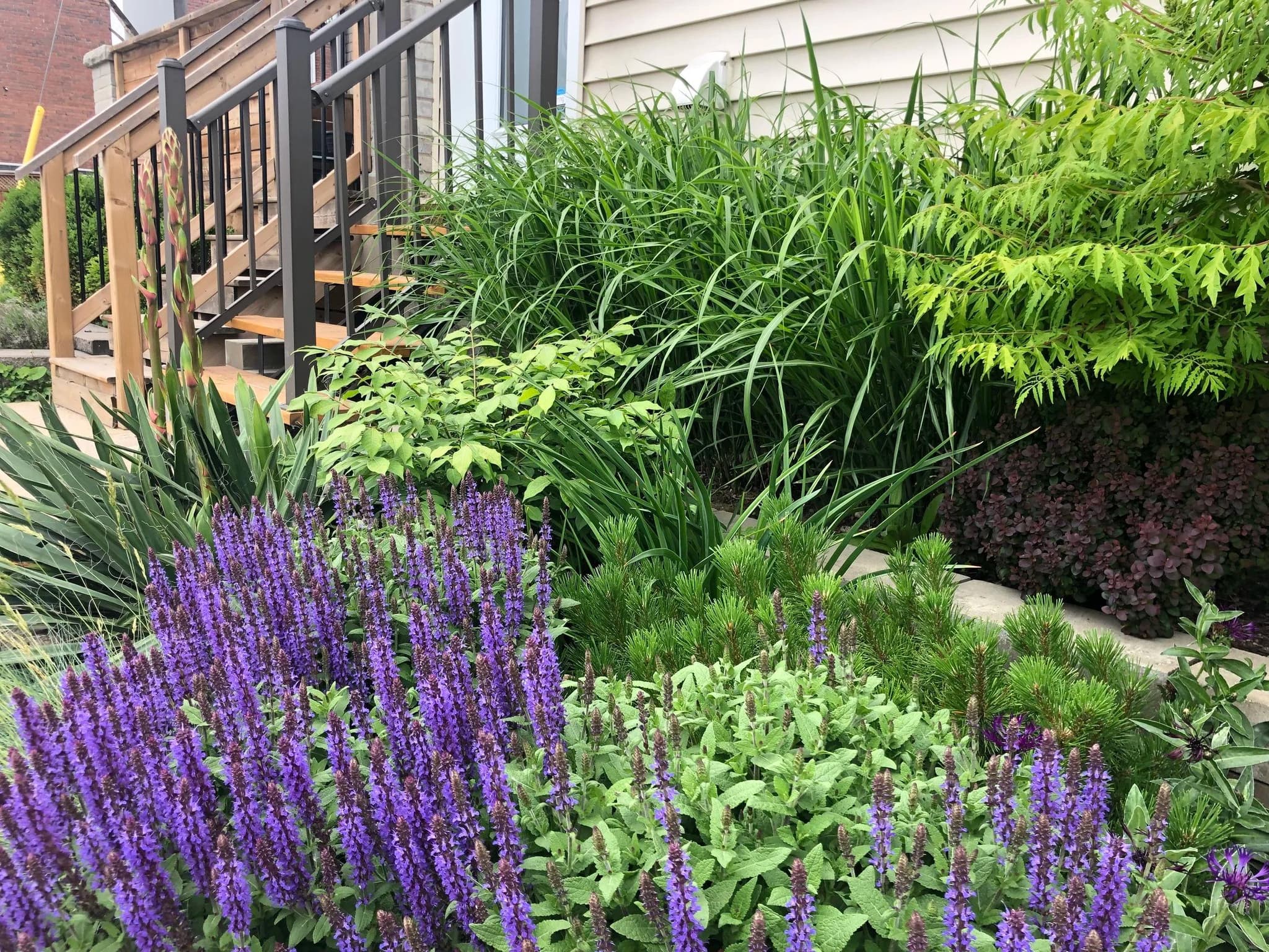 Lush garden landscape