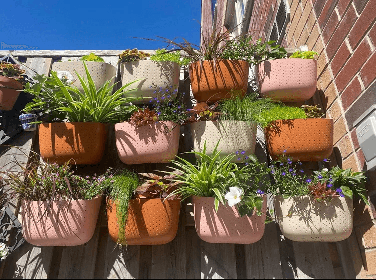 Merchant – view 1