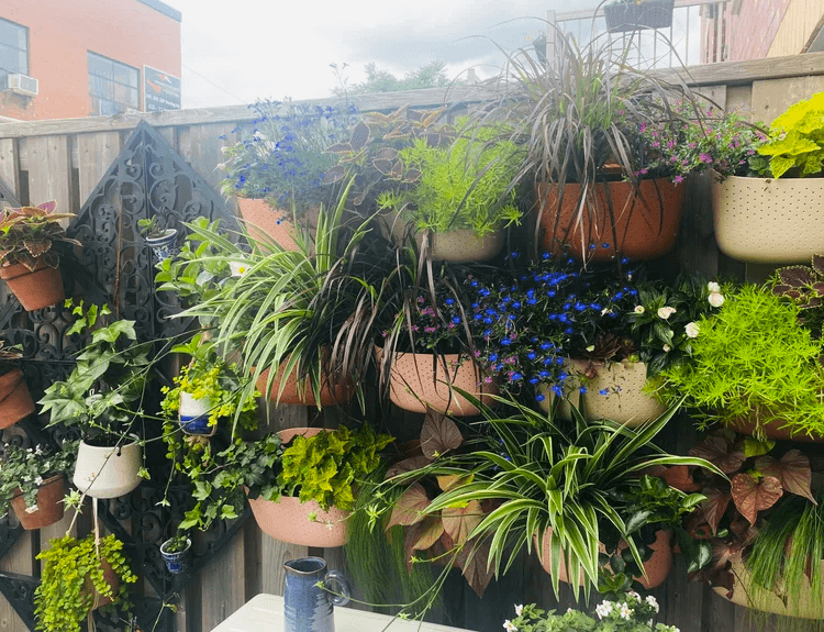 Merchant – view 3